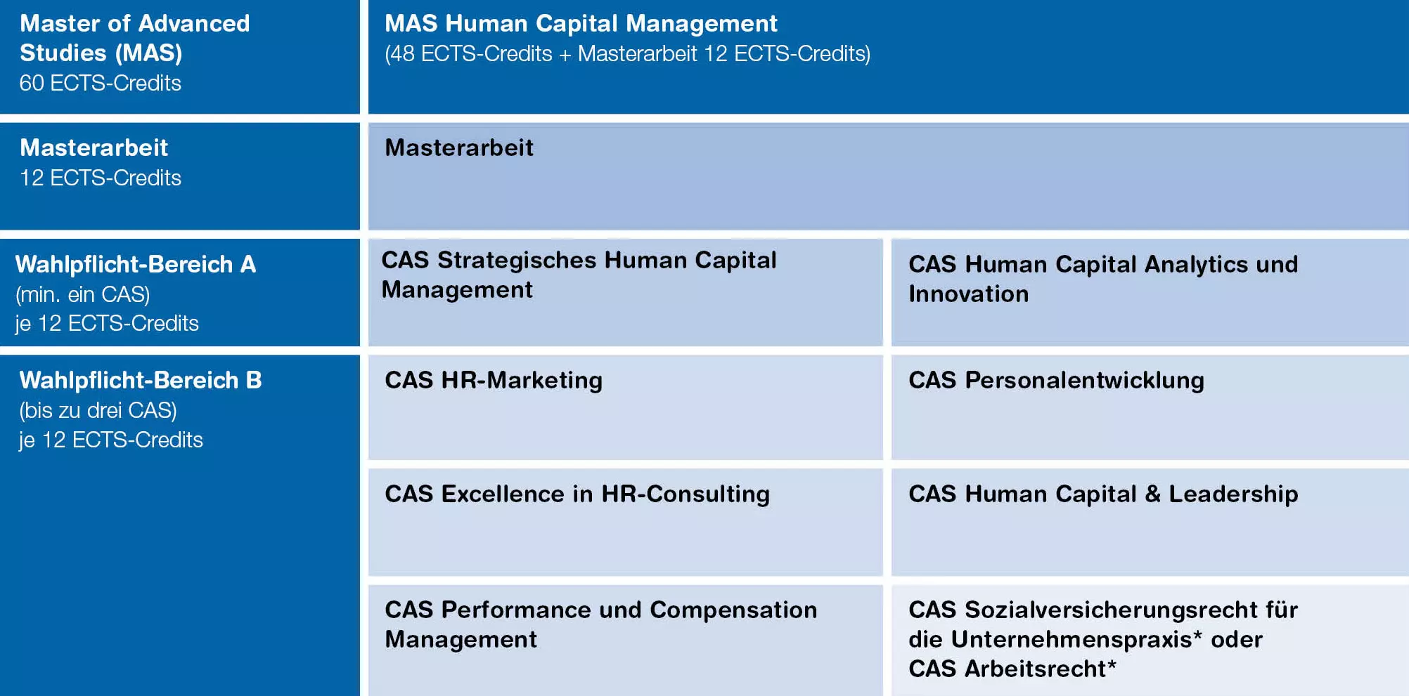 Aufbau des MAS Human Capital Management