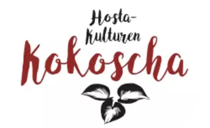 zur Webseite Hosta-Kulturen Kokoscha