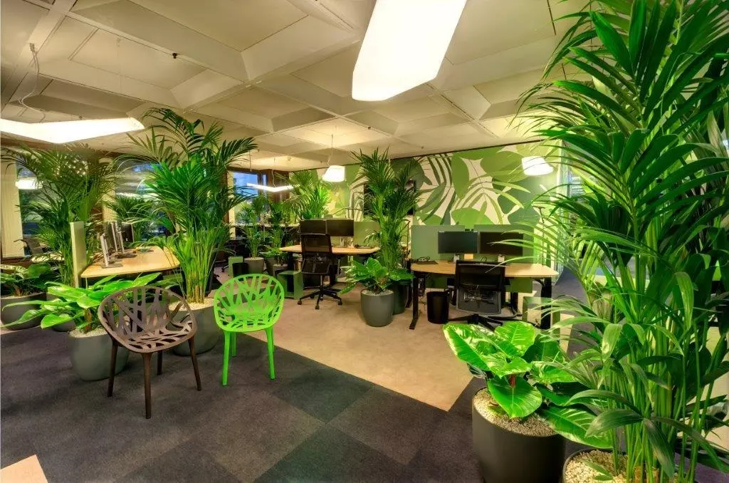 Blick in den Bürobereich der Baloise Basel, genannt Business Garden, mit vielen Grünpflanzen