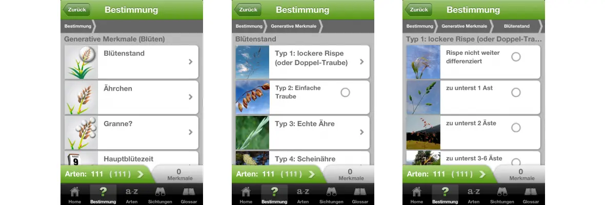 ZHAW App iGräser, Sreenshot Lexikon 10