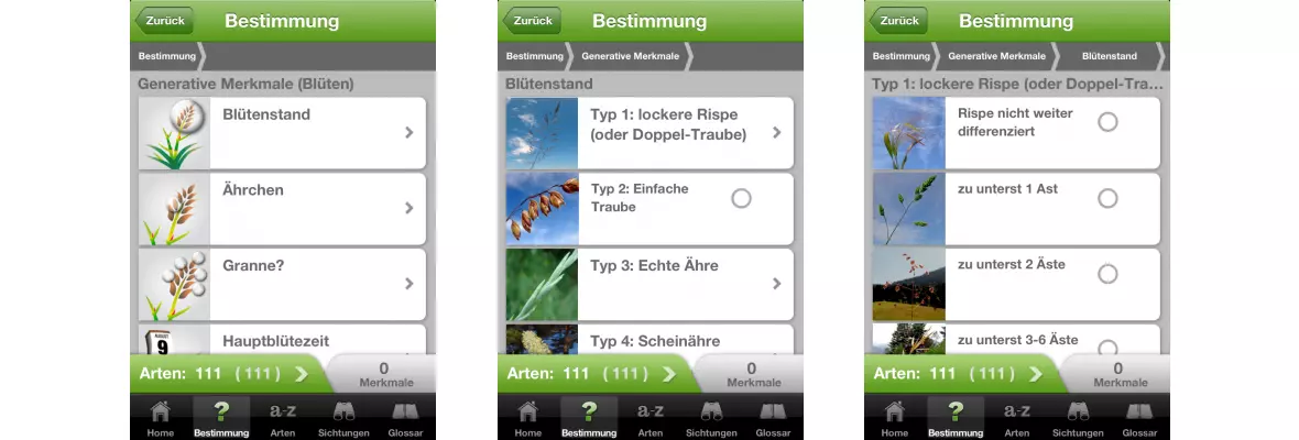 ZHAW App iGräser, Sreenshot Lexikon 10