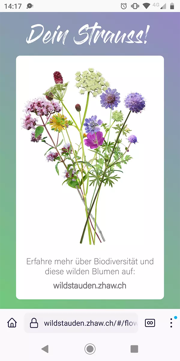 Verschenken Sie einen bunten, wilden, virtuellen Blumenstrauss! 