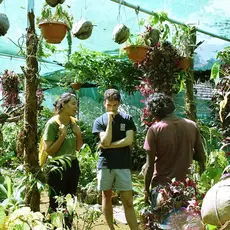 Participants of the Summer School stand in a garden with hanging plant pots and discuss.