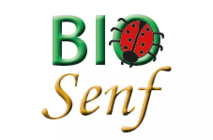 zur Webseite Bio Senf