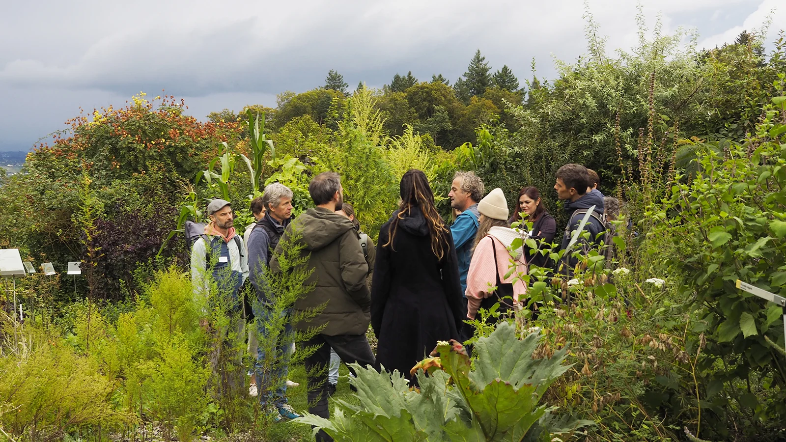Teilnehmende an einer Führung im TCM Garten