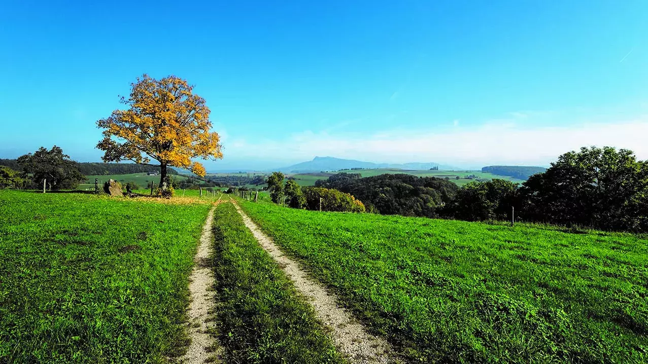 Foto Landschaft im Regionalen Naturpark Schaffhausen. Bild: Renato Bagattini