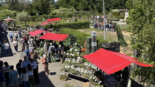 Besuchende inmitten der Marktstände