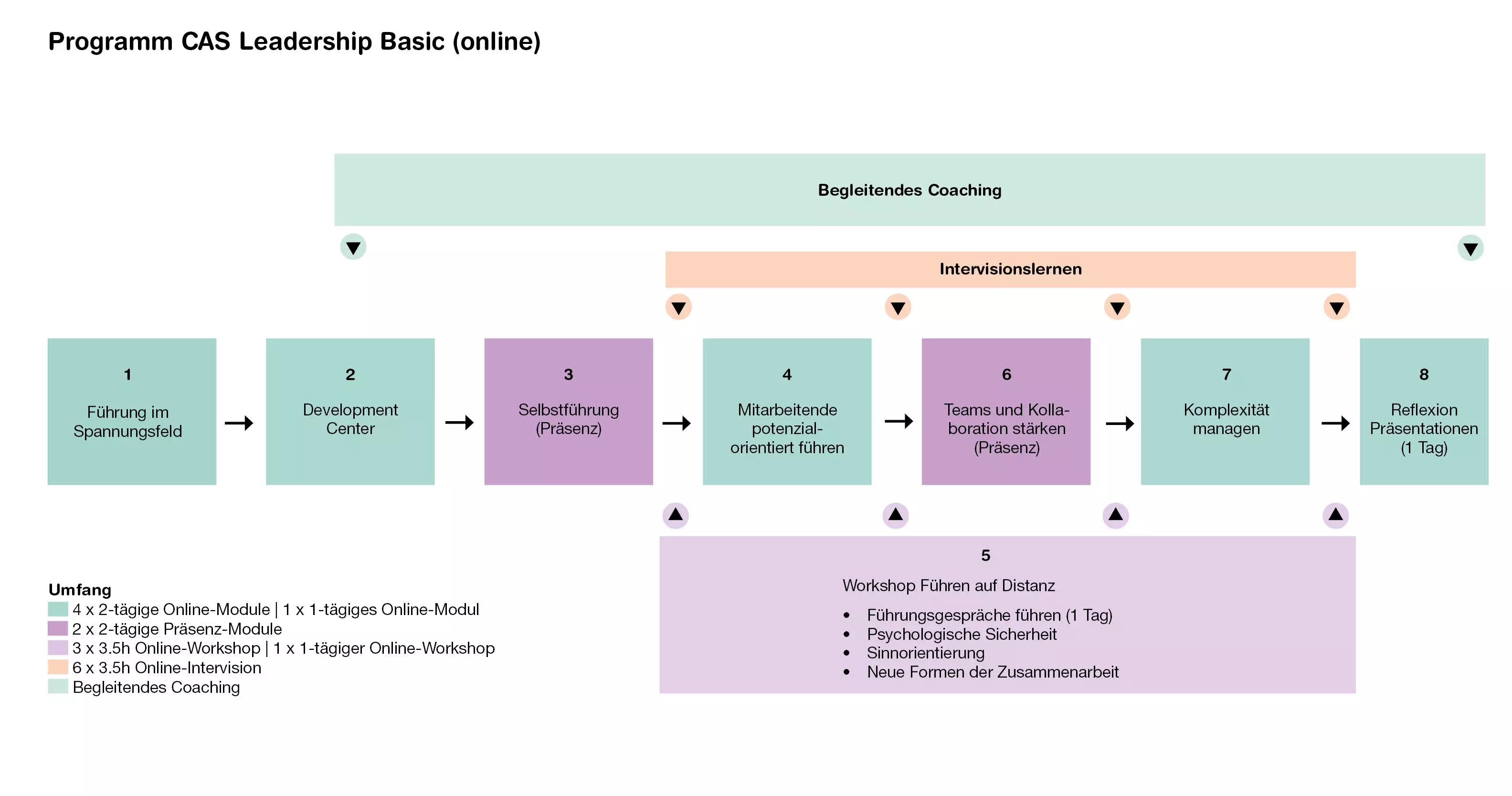 Programm CAS Leadership Basic (online)