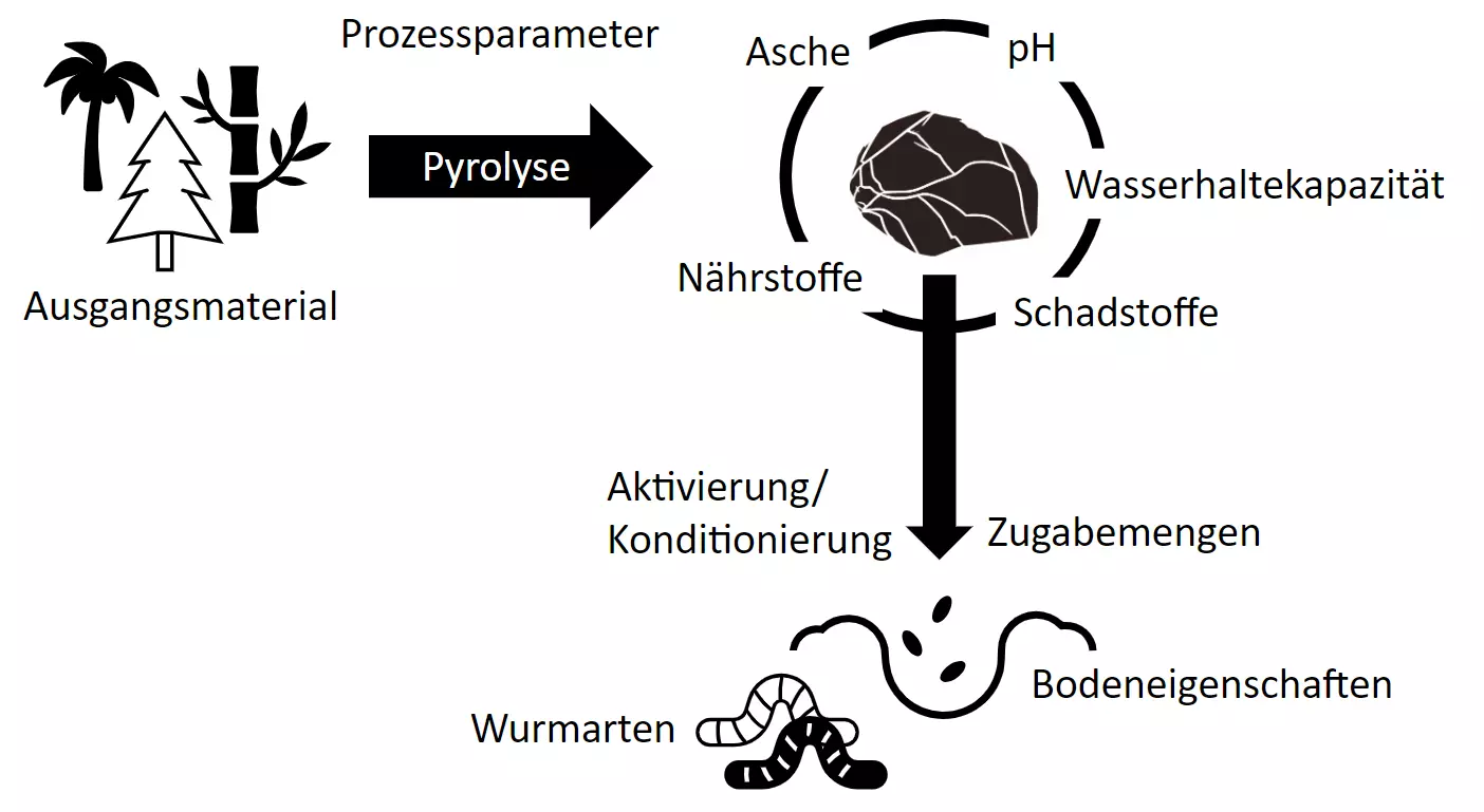Pflanzenkohle Regenwürmer Grafik