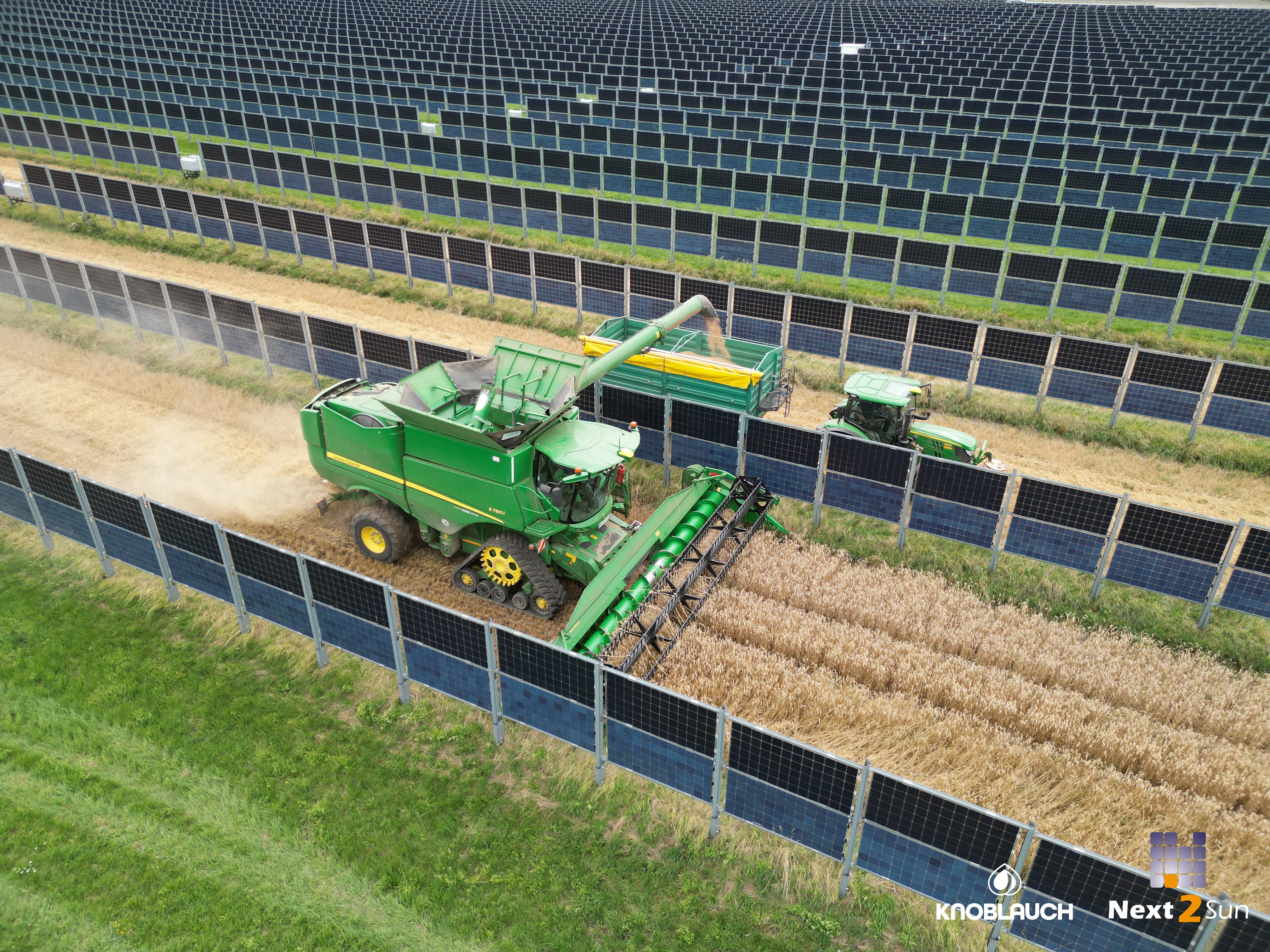 Bild von Next2Sun von der Weizenernte auf einem Agri-PV Feld in Aasen.