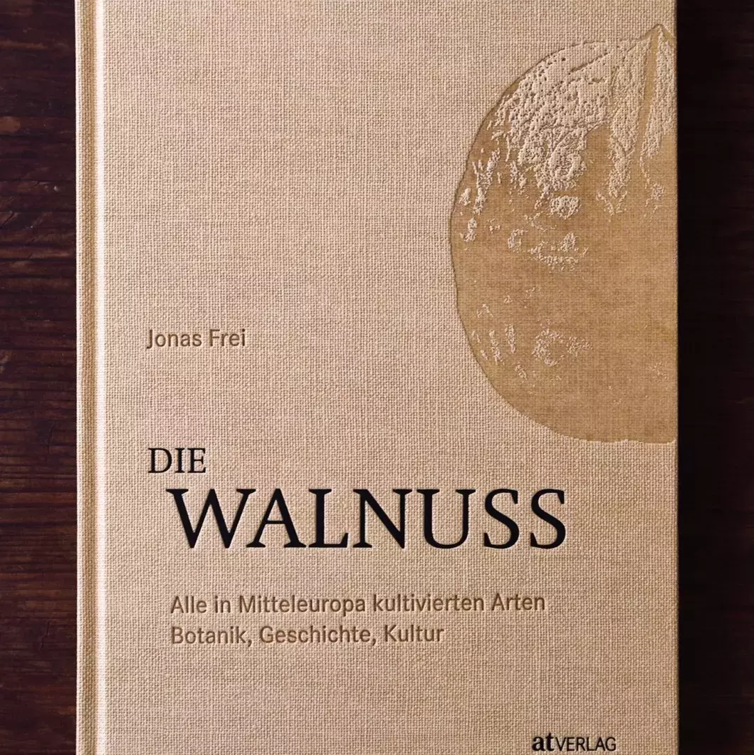 Die Walnuss- ein Buch von Jonas Frei