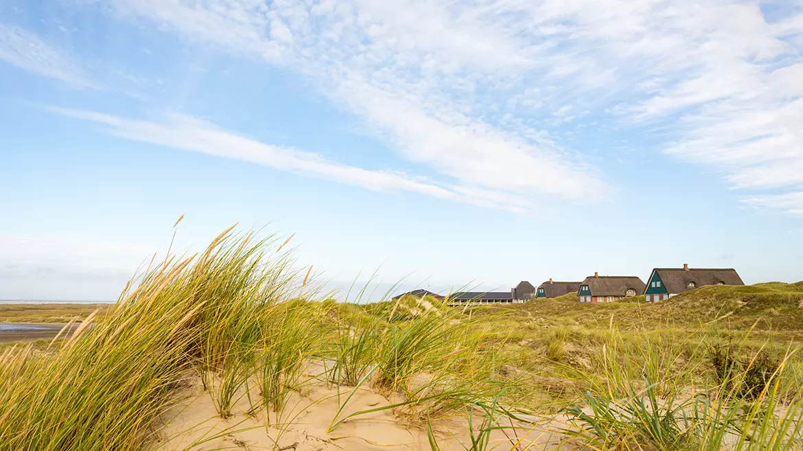 Summer housen in the dunes of Fanø, Denmark