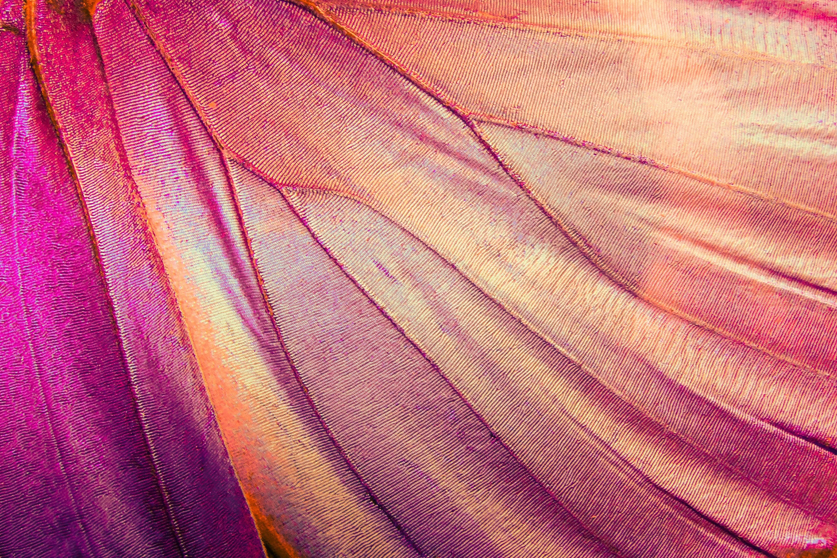 Titelbild ZHAW digital