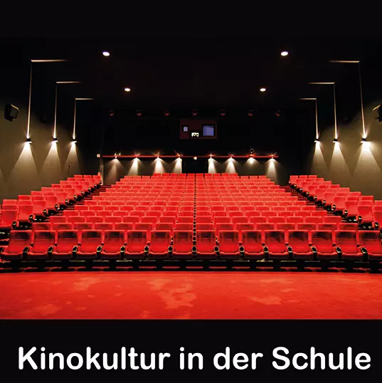 Visual Evaluationsbericht Kinokultur