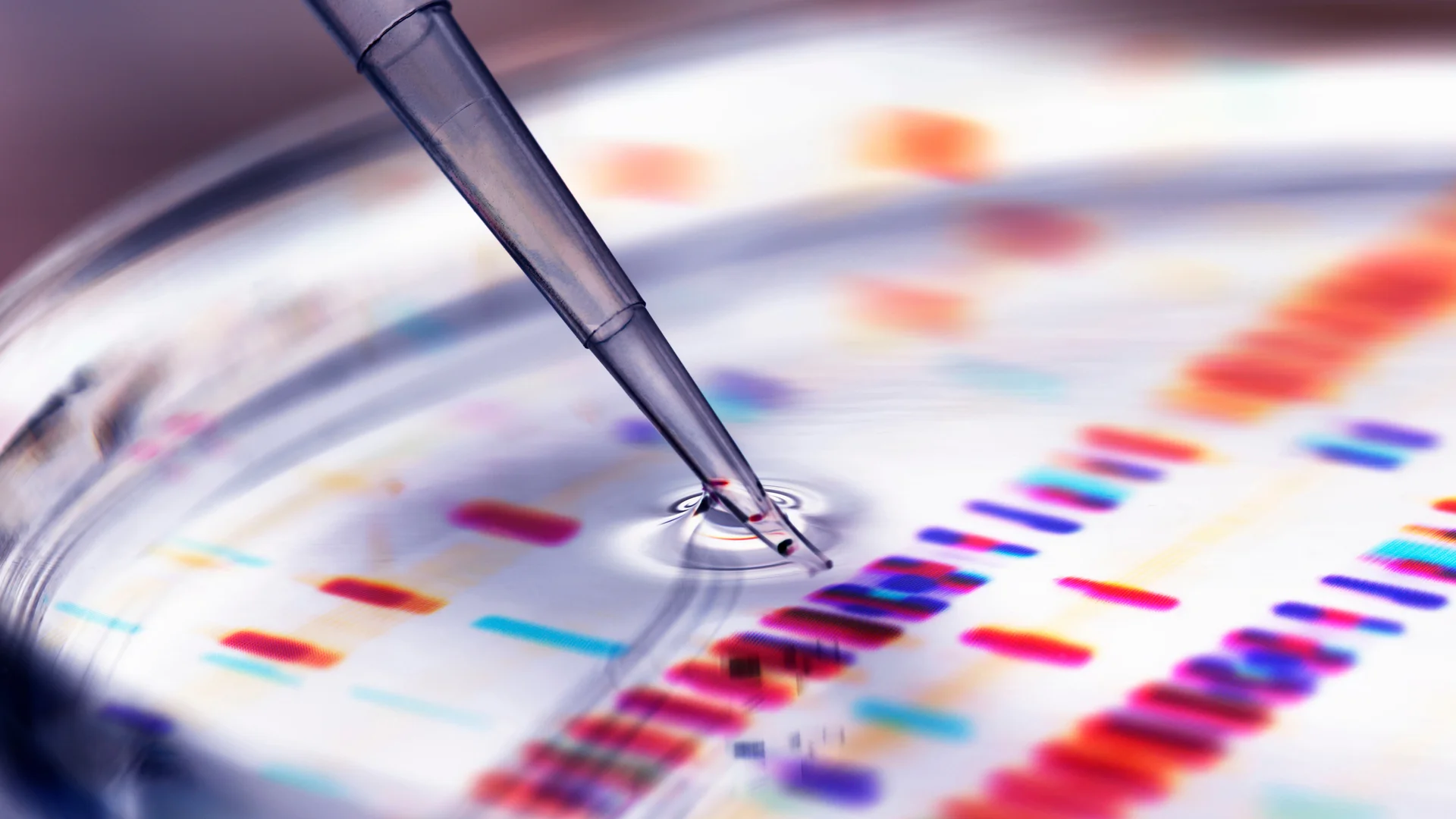 zur Webseite Master Pharmaceutical Biotechnology