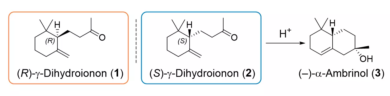 modified from Eichenberger et al., Angewandte Chemie (2021) 