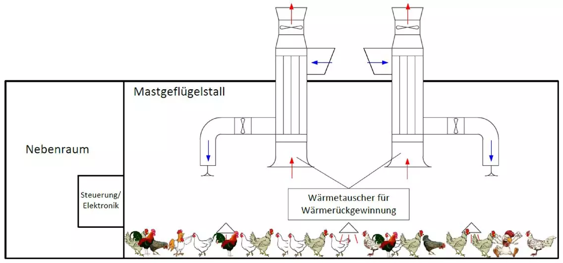 Aufbau Mastgeflügelstall mit WRG-Anlage