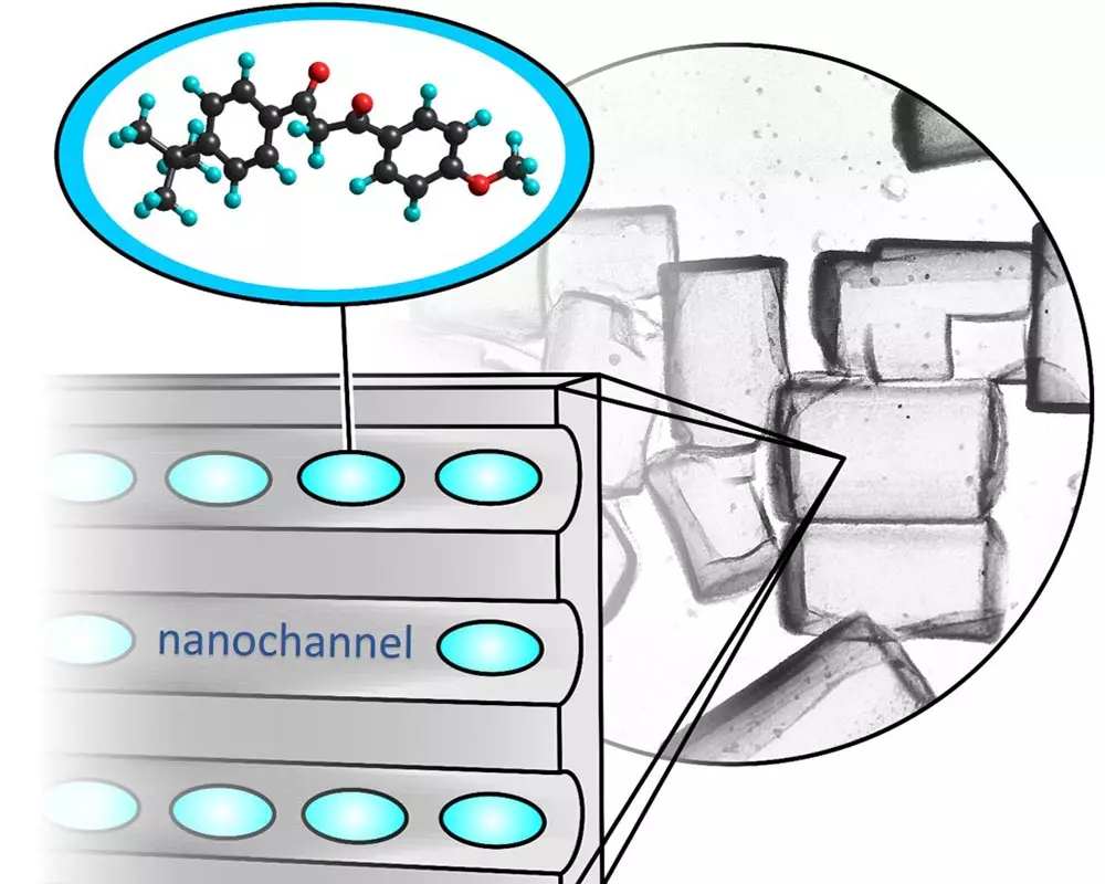 The intercalation of organic molecules into nanoporous silicates leads to materials with novel properties