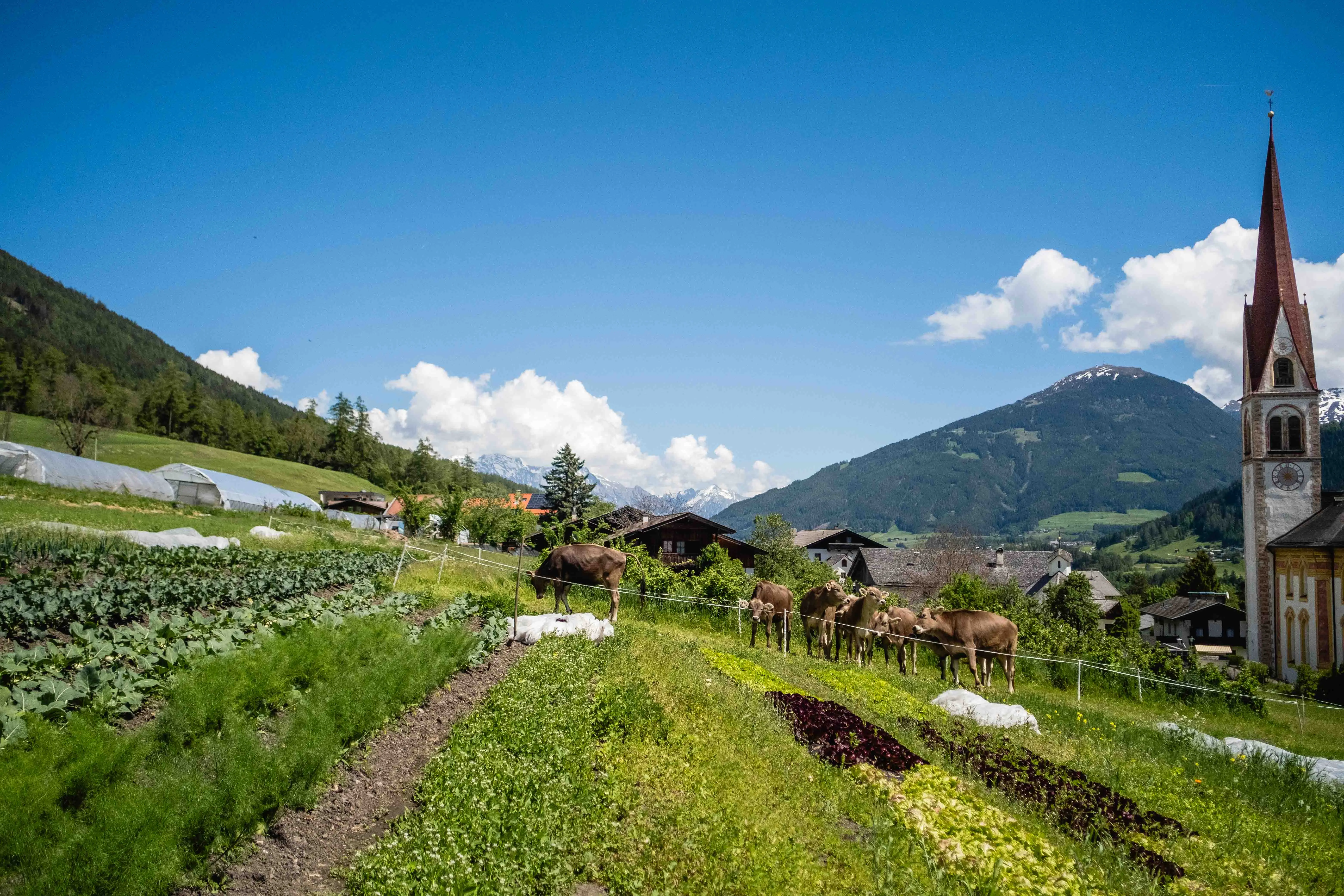 Landschaftliche Eindrücke verschiedener Bergbaubetriebe, die für die Interviews besucht wurden.