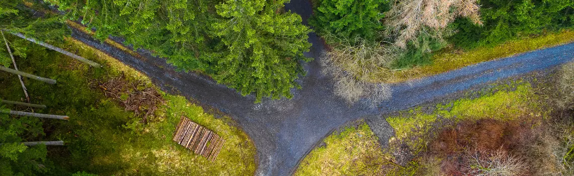 Wegkreuzung im Wald