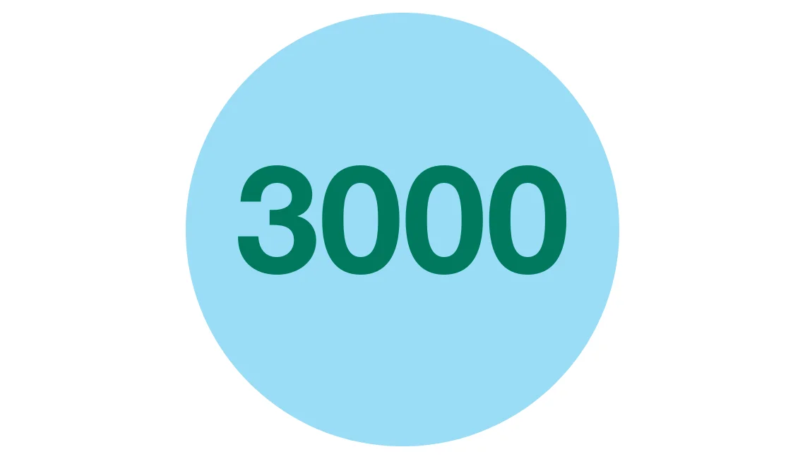 3000
