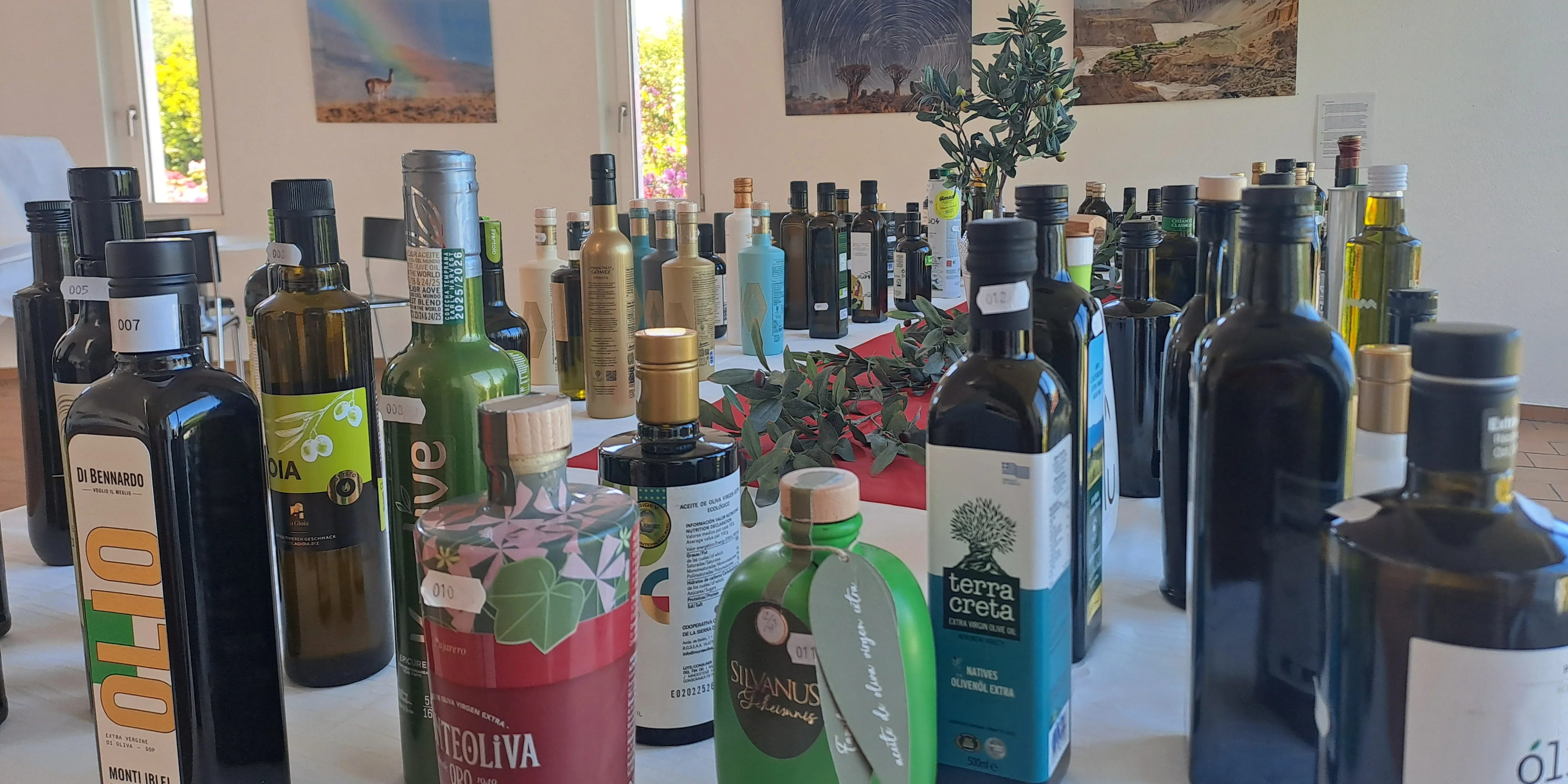 Olive Oil Award: Blick auf einen Teil der eingereichten 98 Öle