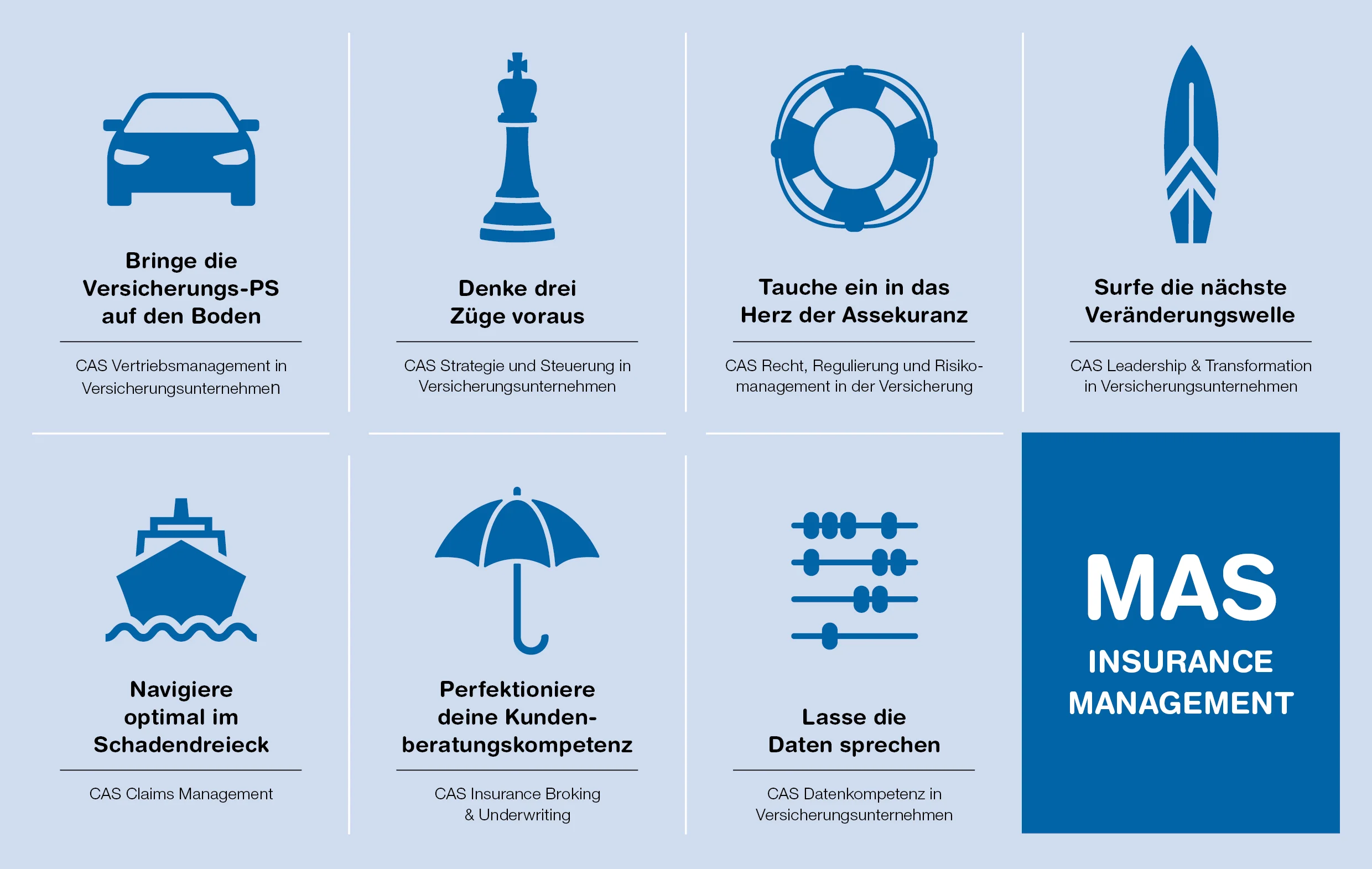Ziele des MAS Insurance Management als Icons