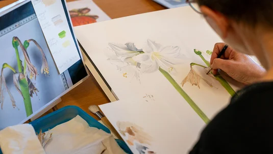 Live Demonstration von Botanischem Malen