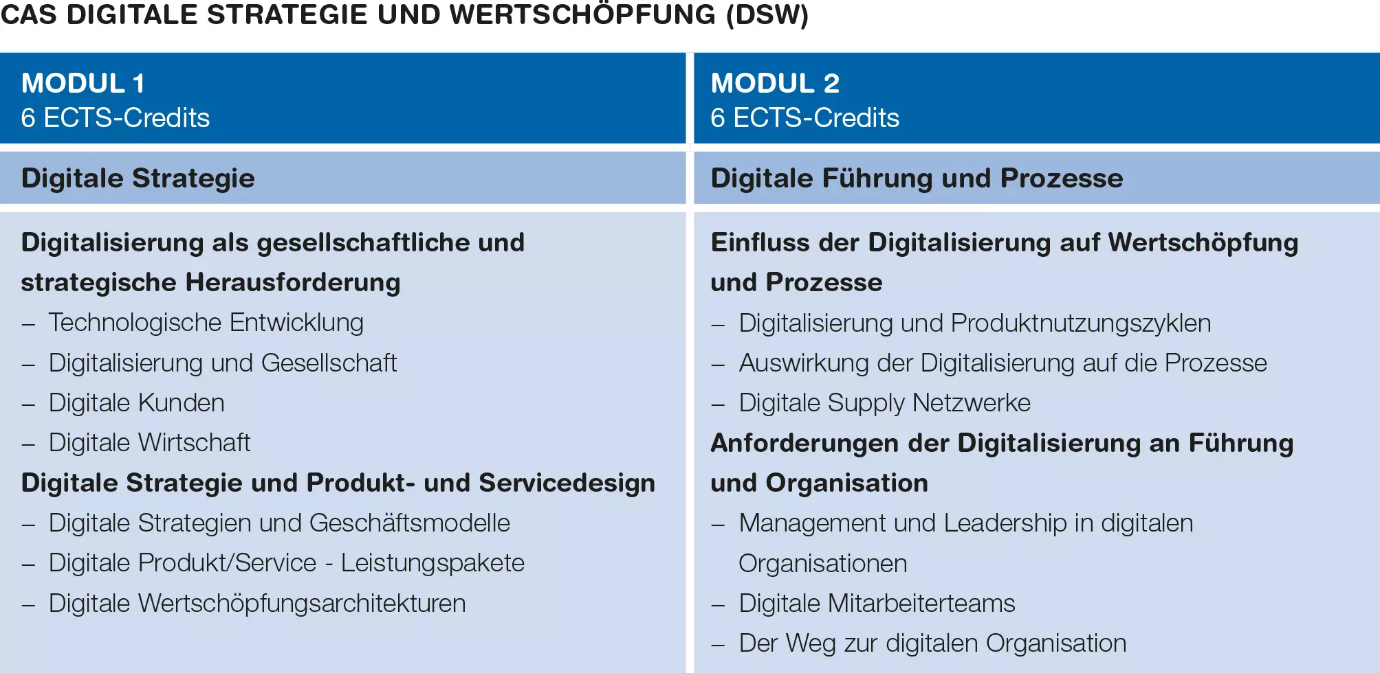 Modulübersicht CAS Digitale Strategie und Wertschöpfung