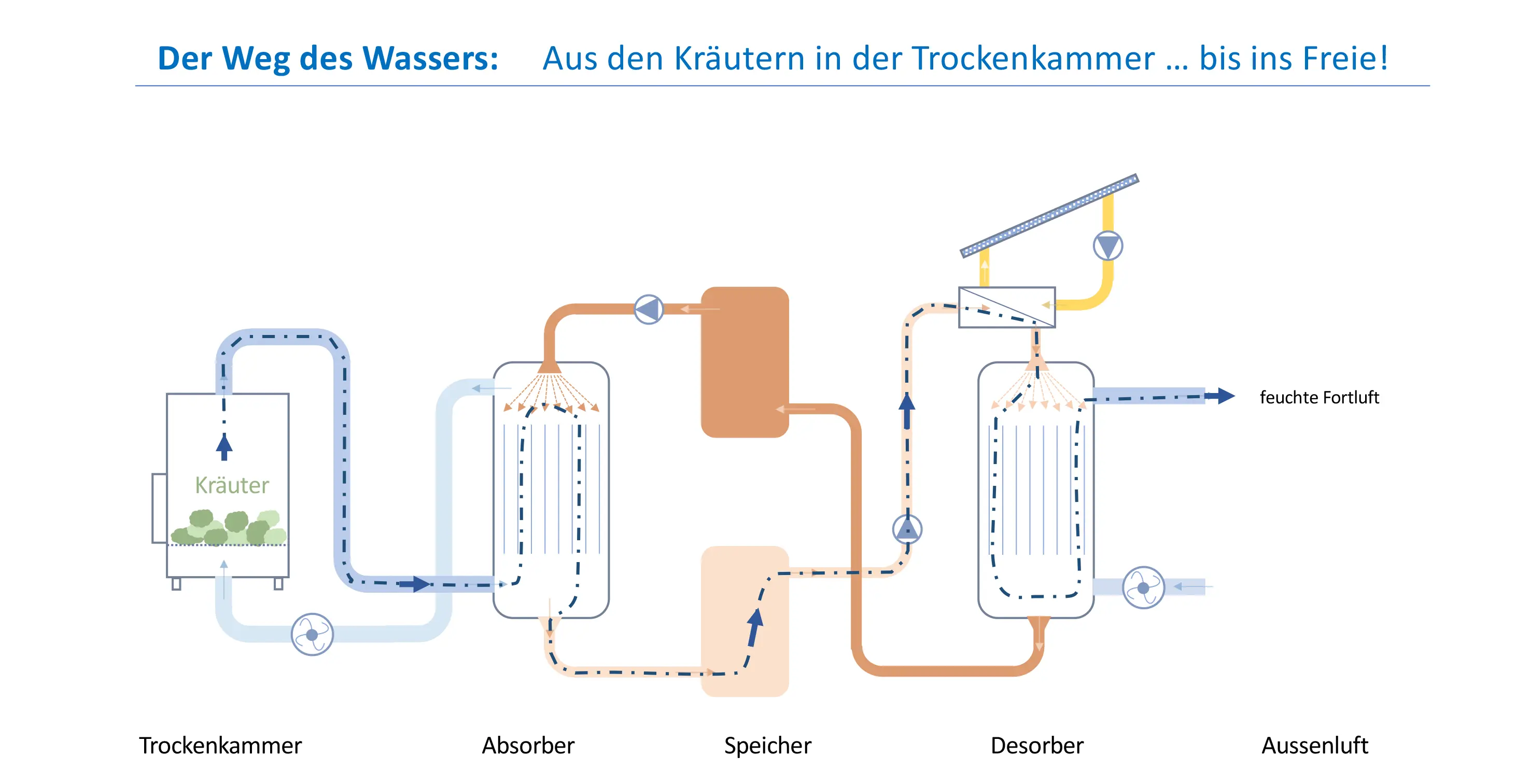 Der Weg des Wassers
