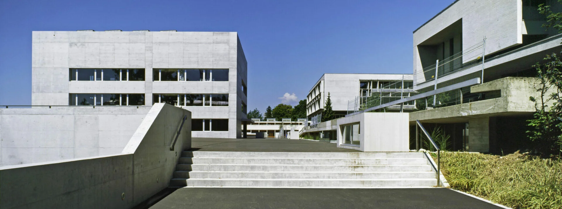 Link zum Bild