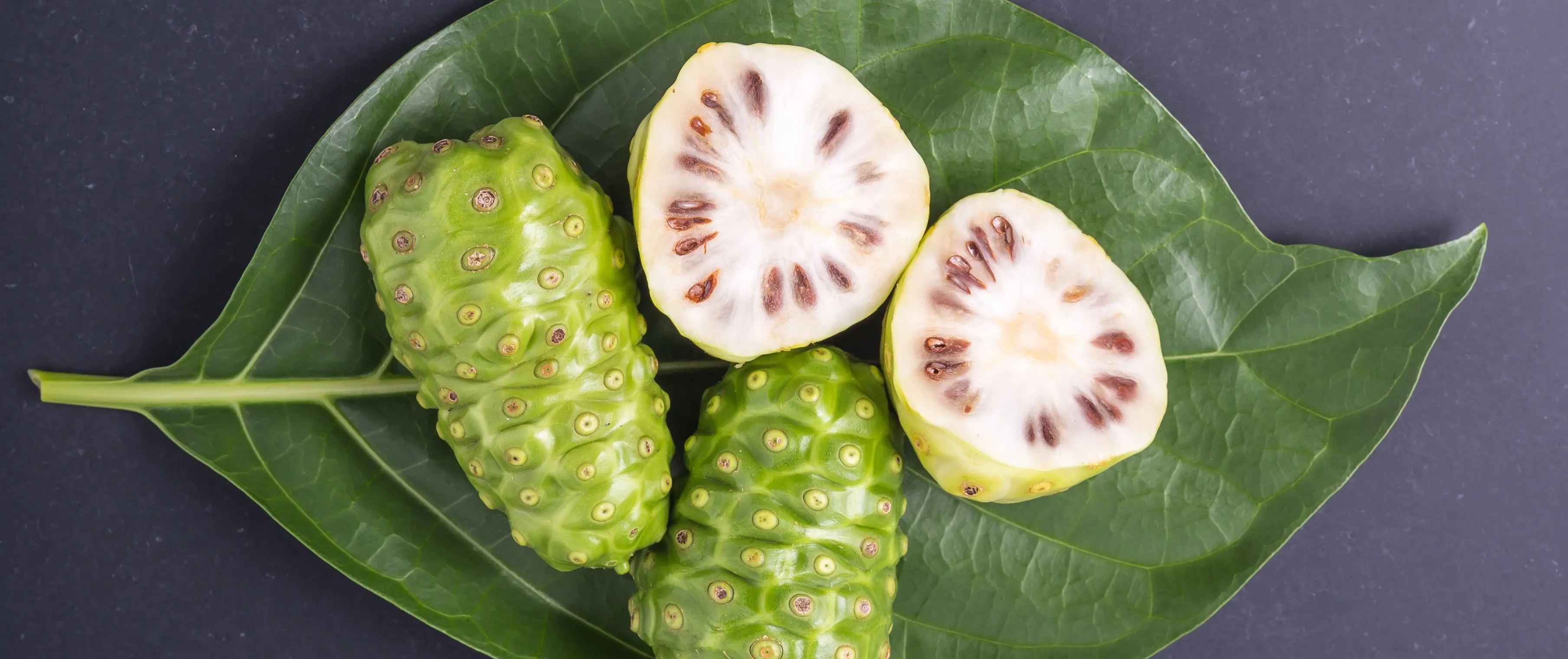 Fruit of Great morinda (Noni) or Morinda citrifolia tree and green leaf on black stone board