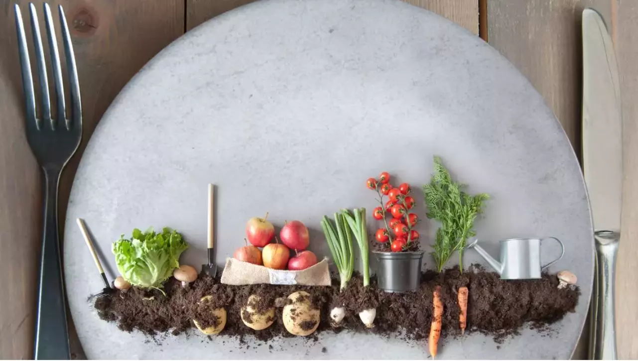 Food Service Perspektiven ZHAW Life Sciences und Facility Management