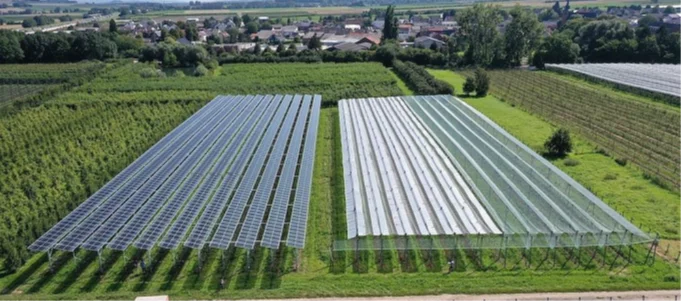 Example of a system for the usable area type "permanent crops." Agri-PV system above an orchard in Gelsdorf (Germany). (Energy experts, n.d.).