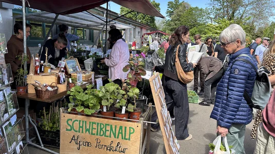 Marktstände aus der ganzen Schweiz