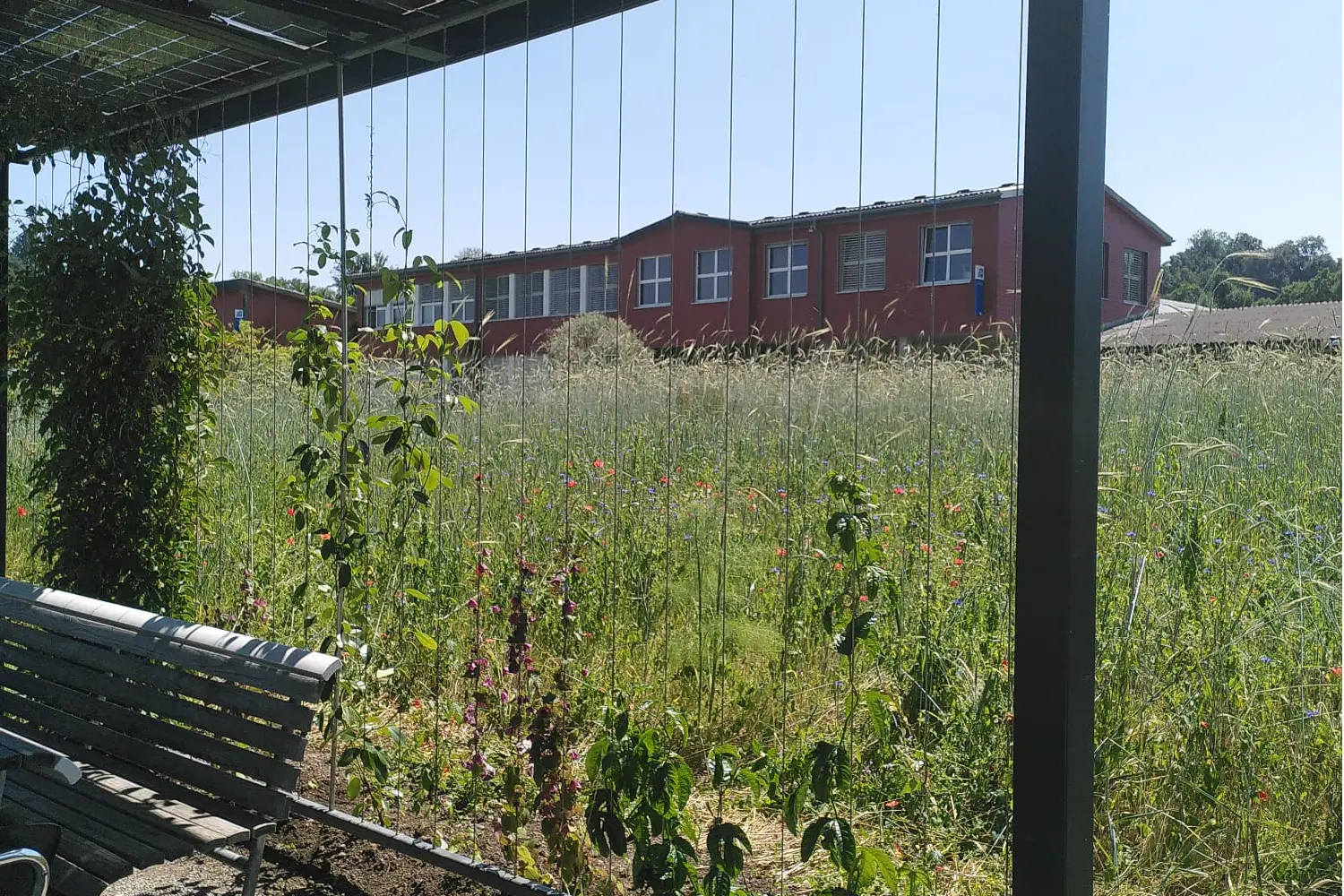Unter einem Pavillon sieht man hinaus auf eine Wiese und ein rotes Gebäude im Hintergrund.