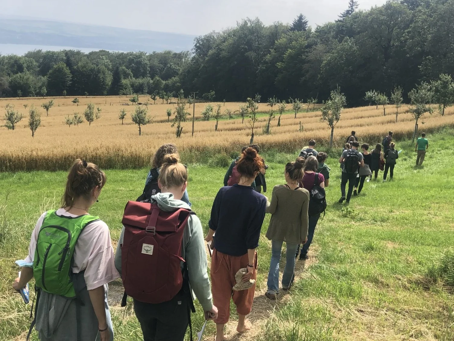 Studierende wandern im Gänsemarsch durch eine Wiese, dahinter ein Feld mit Baumreihen