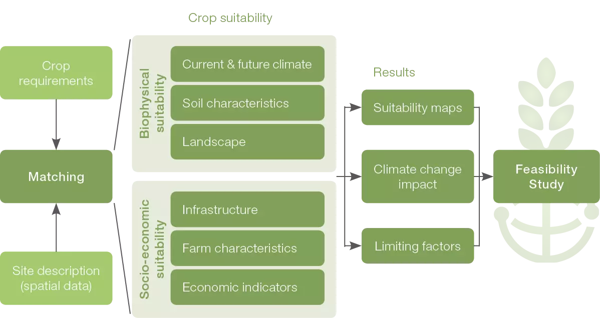 The different CONSUS Modules from Crop suitability to feasability studies