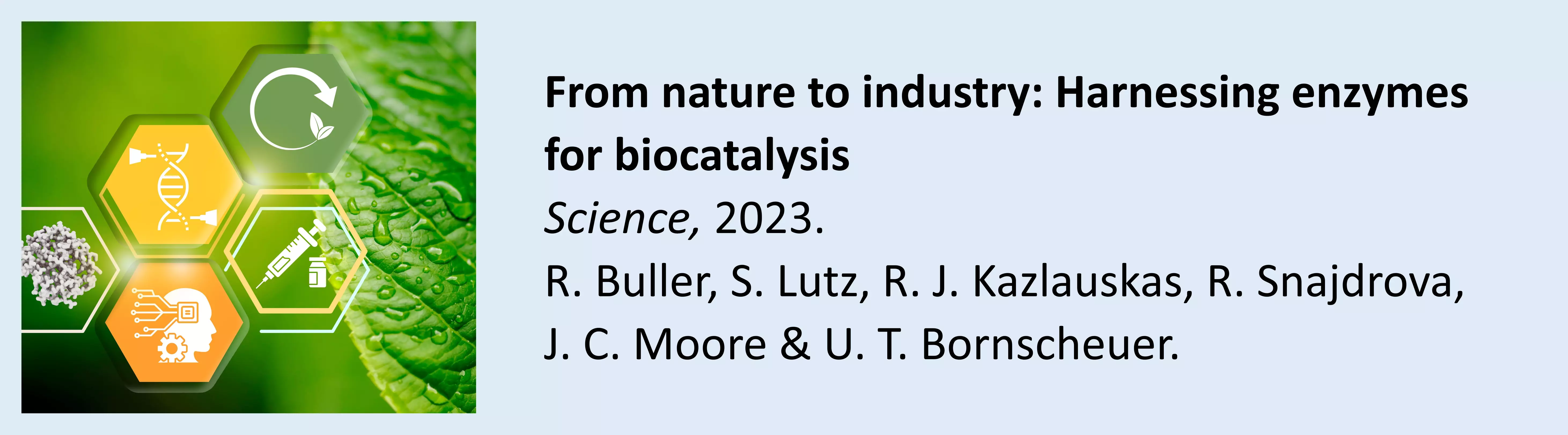 From nature to industry: Harnessing enzymes for biocatalysis