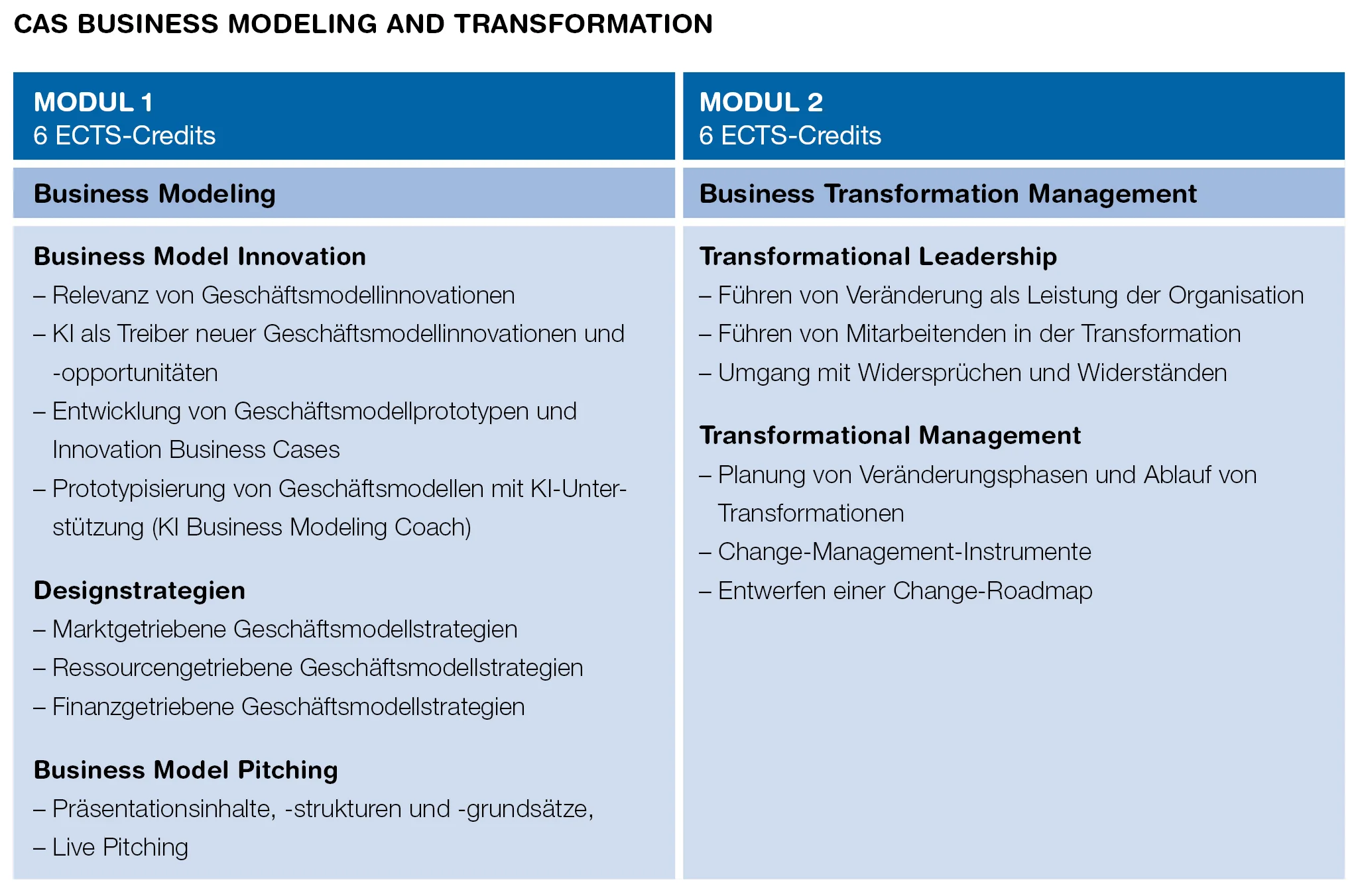 Modulübersicht CAS Business Modeling and Transformation