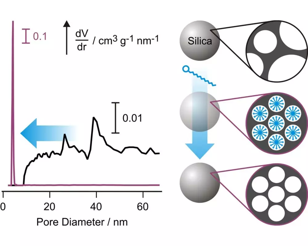 Well-organized pore systems are generated by pseudomorphic transformation