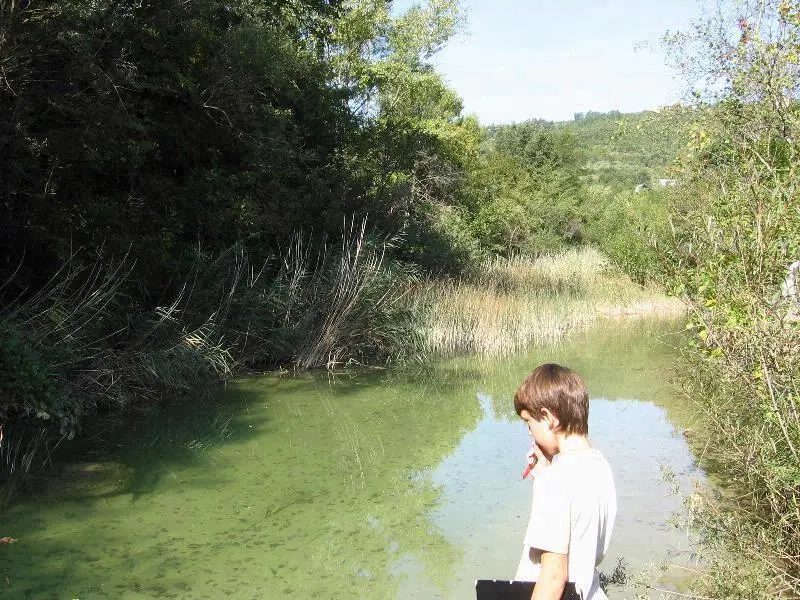 Vegetation as filter - didactics