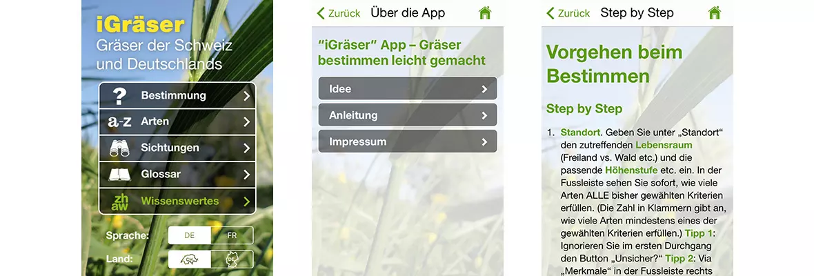 ZHAW App iGräser, Sreenshot versch. Bildschirme