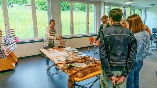 Workshop zu Wildtieren vor unserer Haustüre