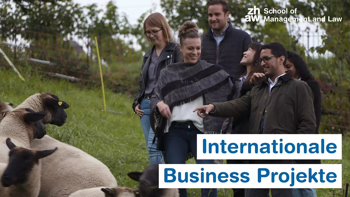 Internationale Business Projekte