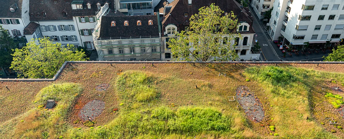 Draufsicht auf ein weitläufiges Gründach mit verschiedenen Vegetationszonen aus Moosen und Gräsern. Das Dach bietet eine ökologische Ausgleichsfläche inmitten einer dichten städtischen Bebauung.