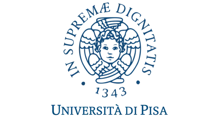 zur Webseite University Pisa