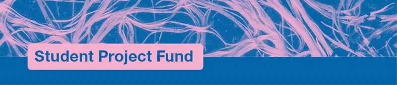 Visualtext: Student Project Fund