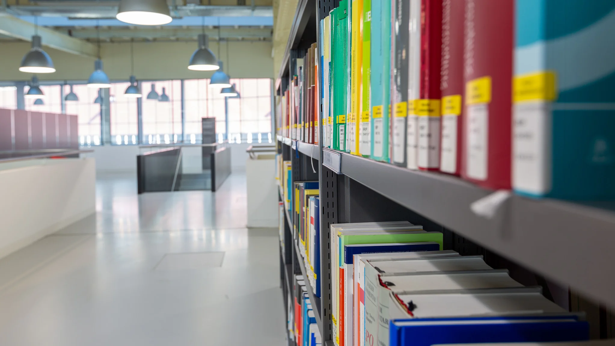 farbige Bücher stehen in einem Regal in der Hochschulbibliothek