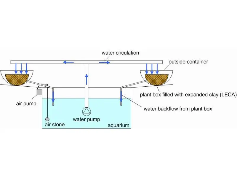 Aquaponic contruction - scheme
